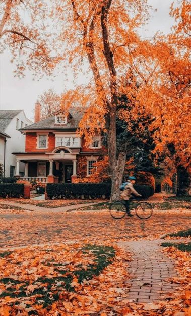 Odoo - Sample 3 for three columns