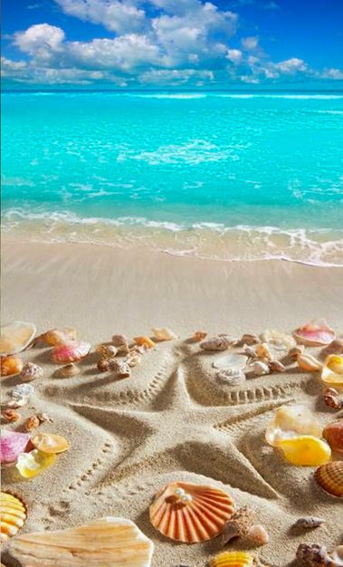 Odoo - Sample 3 for three columns